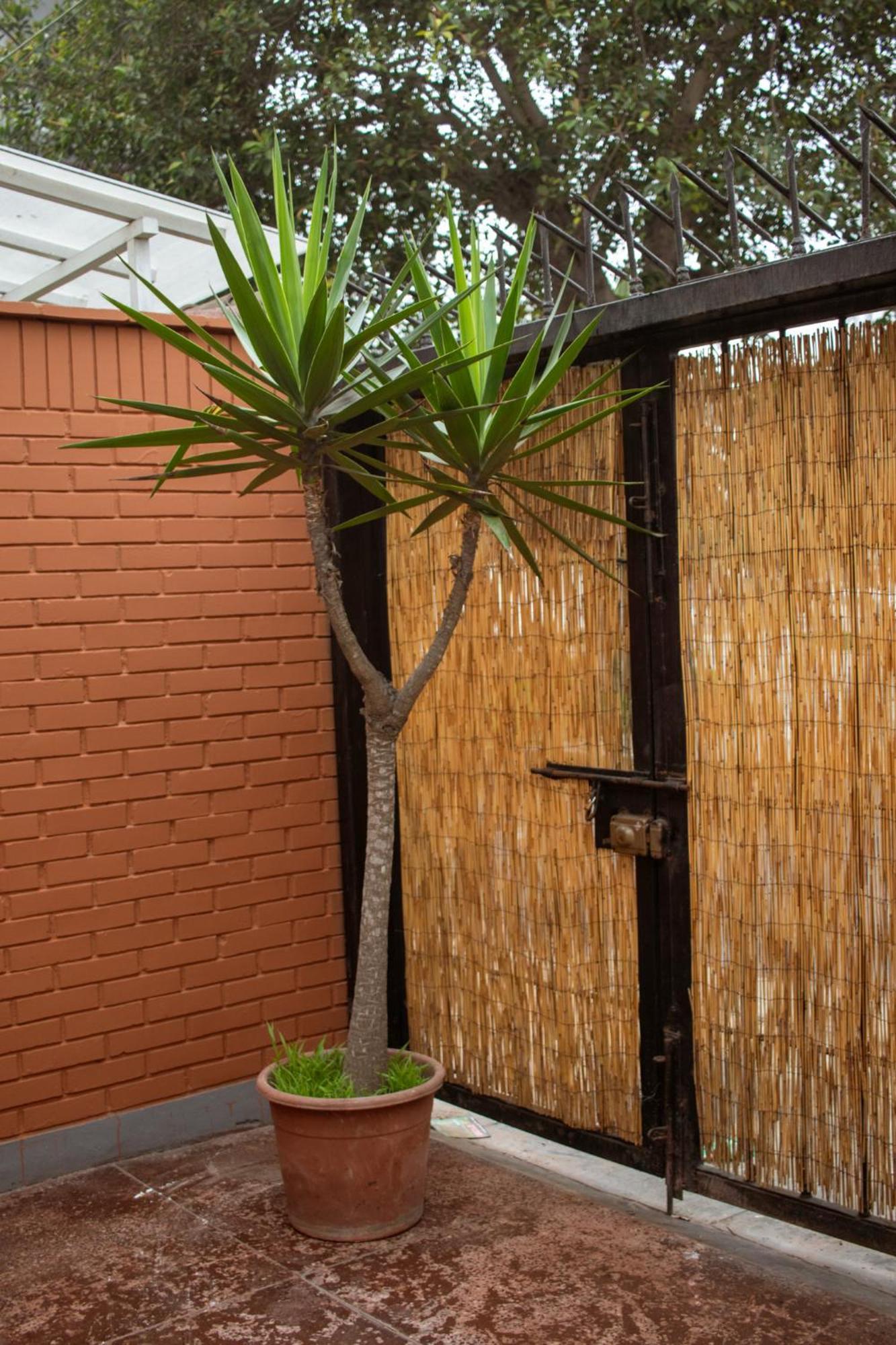 Temazcal Hostel Lima Exterior photo